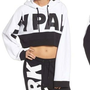 Ivy park hoodie